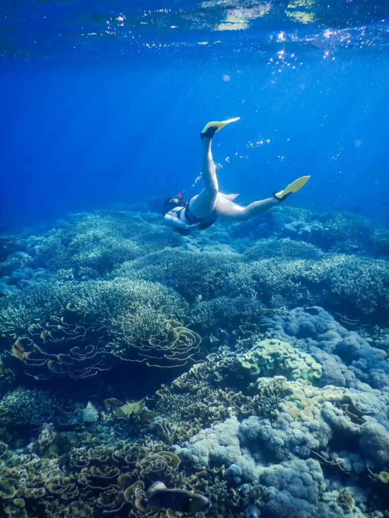 A diver exploring vibrant coral reefs in the clear waters of Lombok.