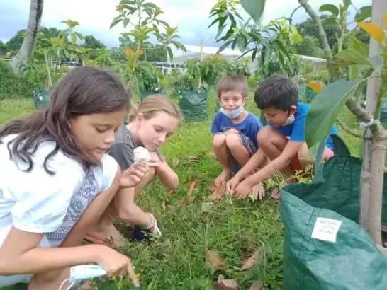 MIS students engaging in gardening activities, learning about plants and nature.